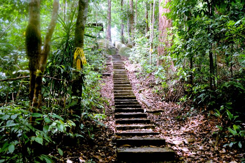 Bukit Pelindung