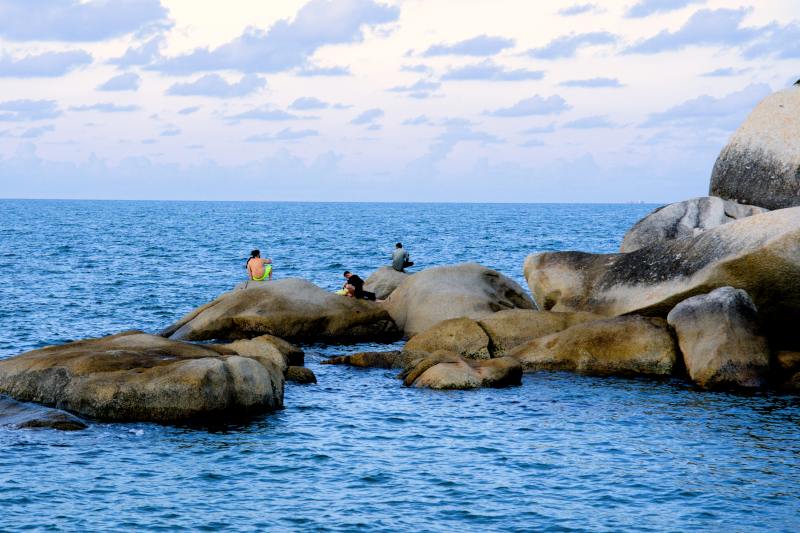 Penyu Gergasi Pantai Pelindung