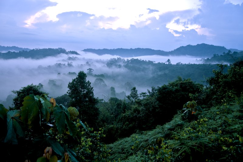 The 'sea of cloud' at Sunrise Hill