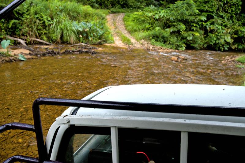 Taking a Four-Wheel Drive Truck Through the Jungle
