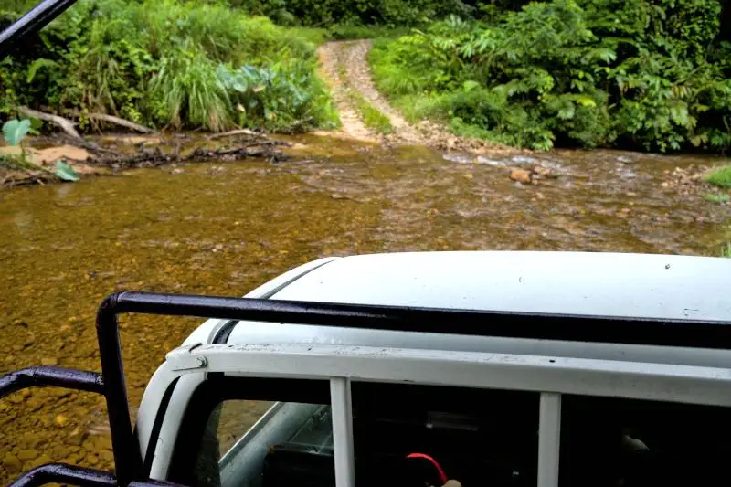 Taking a Four-Wheel Drive Truck Through the Jungle