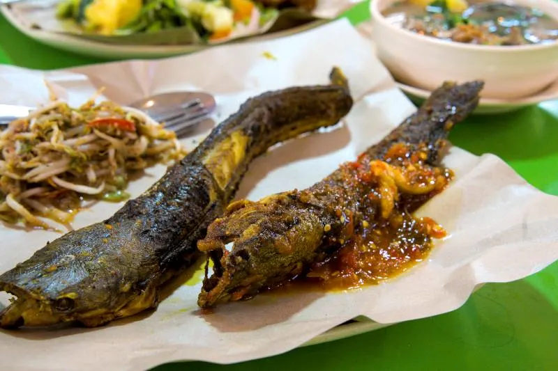 Ikan keli