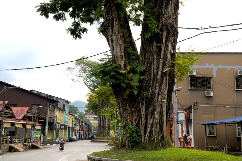The Quaint and Laid-Back Vibe of sungai Lembing