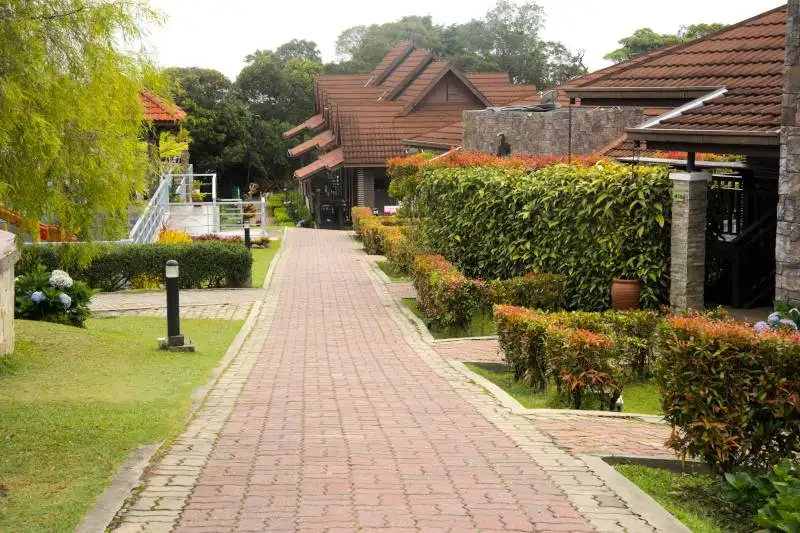 the room at jerai hill resort