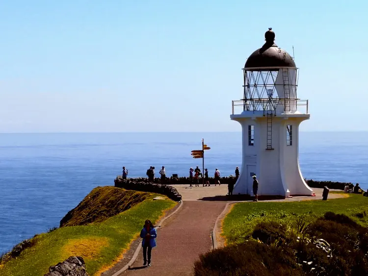 Cape Reinga,
Top North Island NZ Attractions