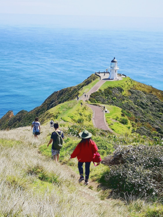 Cape Reinga, Top North Island NZ Attractions