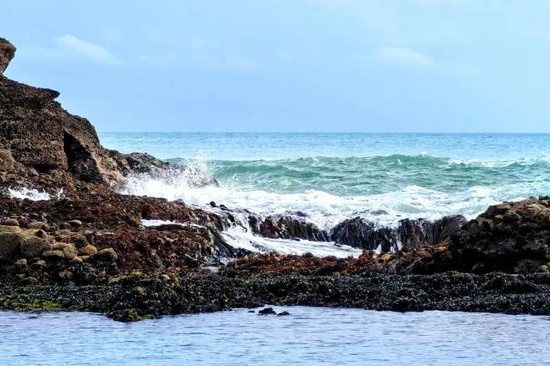 The Gap - Piha Beach