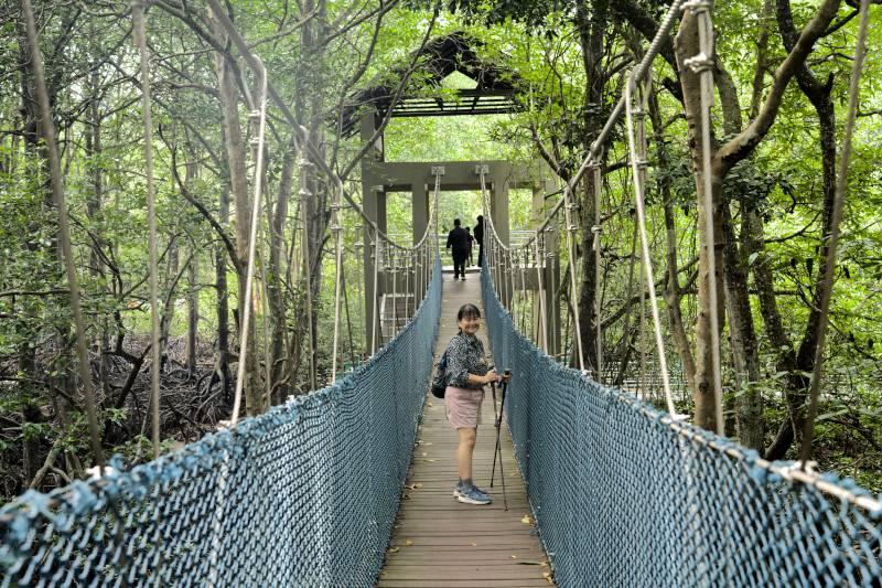 City Mangrove Park