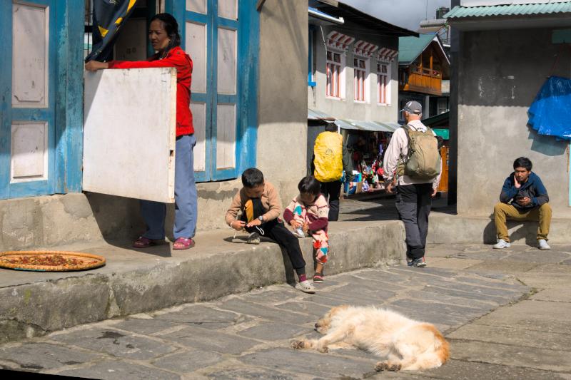 Lazy dogs slept soundly right in the middle of the street, Everest Base Camp Trek Part 1