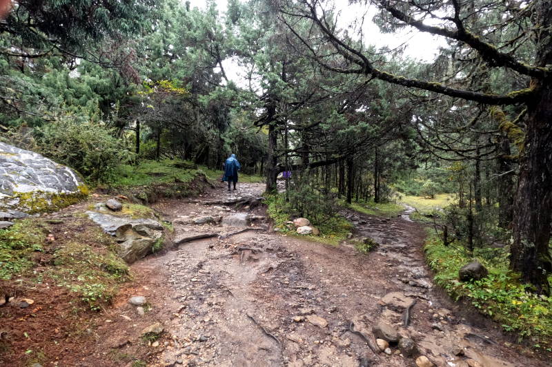 The path near Deboche before raining, Everest Base Camp Trek Part 1