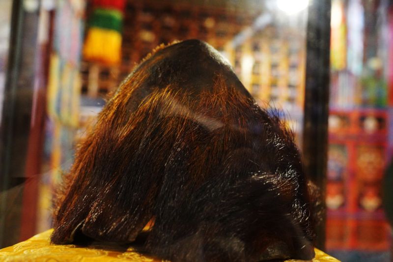 yeti scalp, Everest Base Camp Trek Part 3