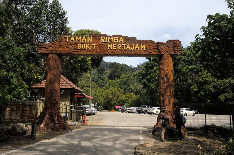 Cherok Tok Kun (Bukit Mertajam Recreational Forest)