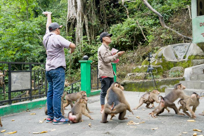Lake Toba Berastagi Medan Itinerary