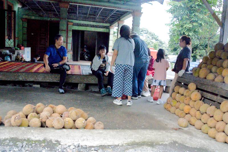 local Durian Kampong
