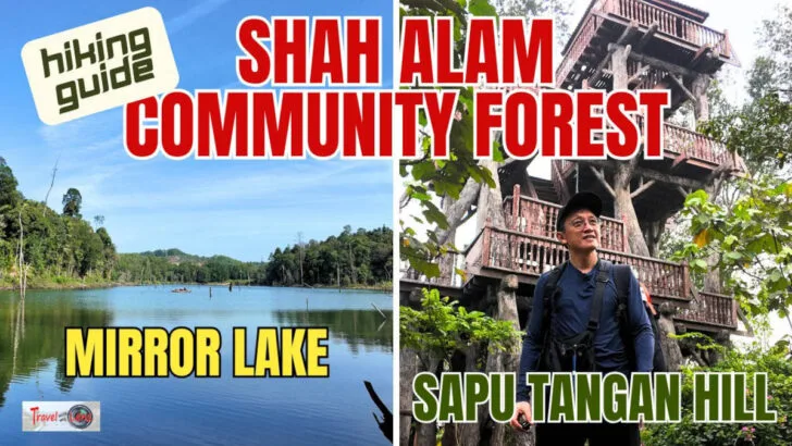 Shah Alam Community Forest thumbnail