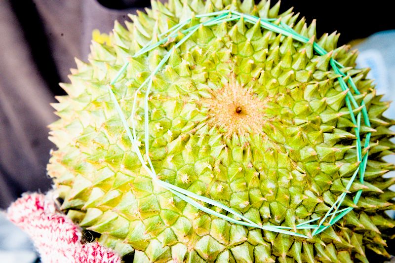 KNK Fresh Fruits, Bentong