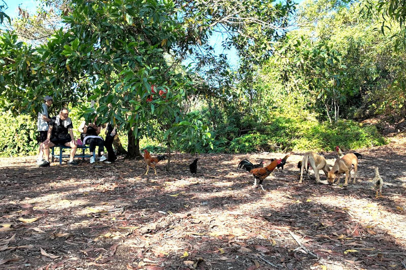 Rest spot with blue table Shah Alam Forest