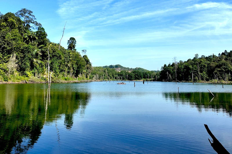 Shah Alam Community Forest Hiking Guide, Mirror Lake