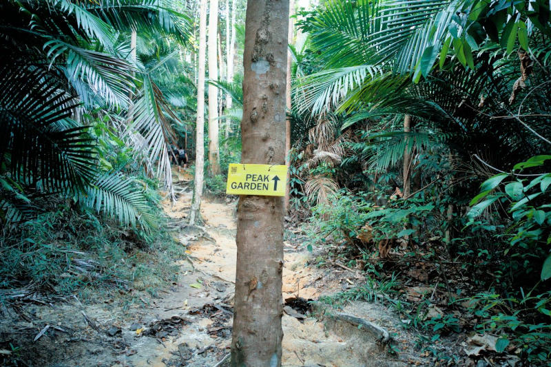 limited sinage in Setia Arundina, Setia Eco Park