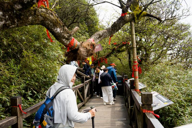 way to  Mushroom Rock