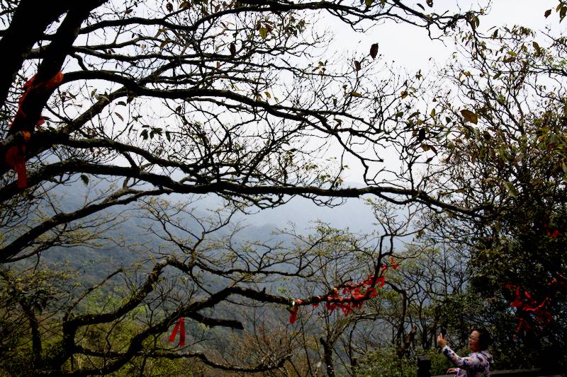 way to  Mushroom Rock