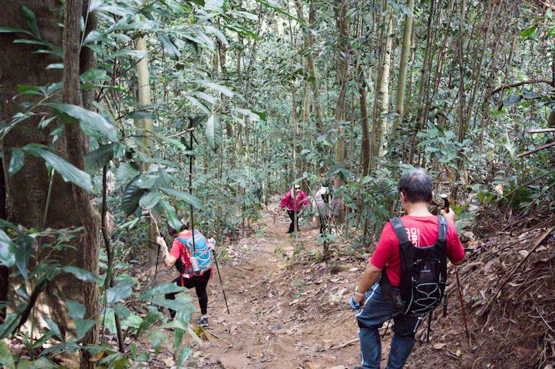 Steep downhill section of the trail after leaving Kem T-Rock at Gasing Hill