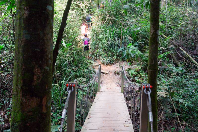 Small wooden bridge crossing a stream on the return trail from Kem T-Rock
