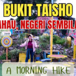 Bukit Taisho Hiking Guide: An Easy Morning Hike in Bahau, Negeri Sembilan