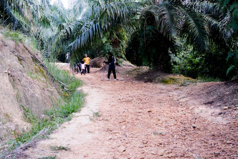 Bukit Taisho Bahau Hiking first part: