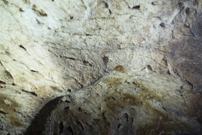 Gua Pagar: Fossils Above Our Heads