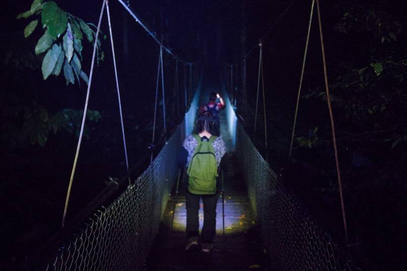 Crossing the suspension bridge, the beginning of entering the jungle.
