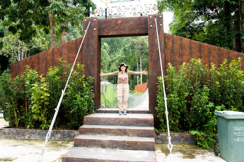 Suspension bridge