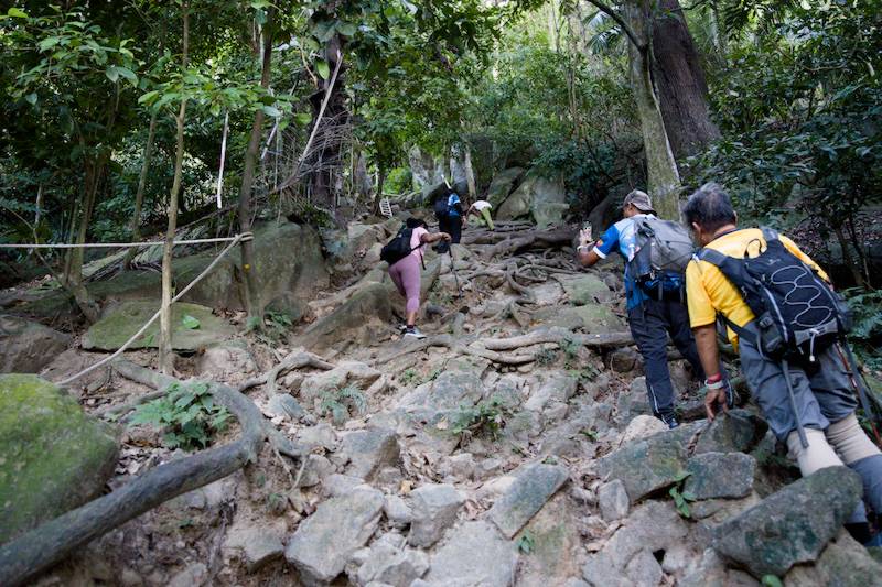 The uneven trail Gunung Datuk