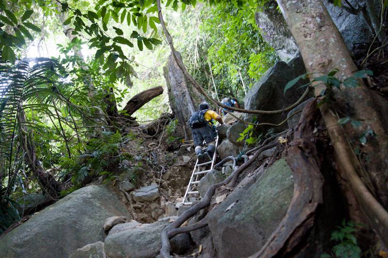 The first part of the trail with some metal leather at Gunung Datuk