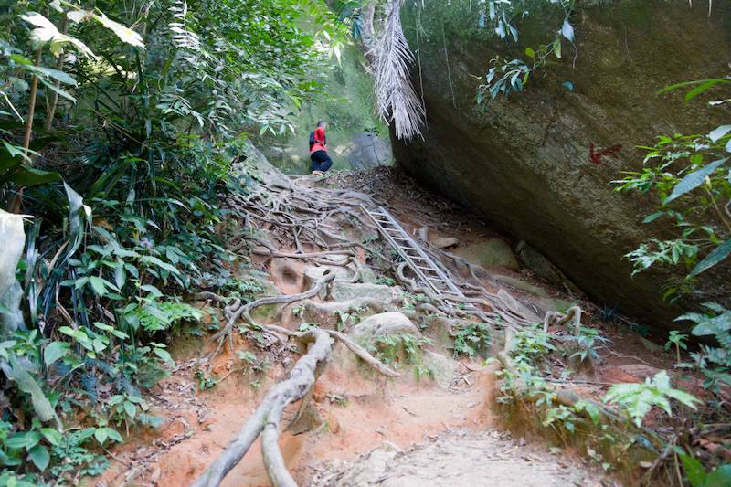Metal stairs are very useful to hike at Gunung Datuk