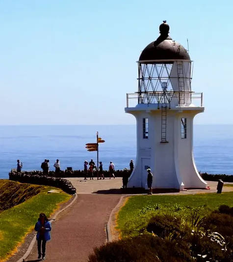 new-zealand-1