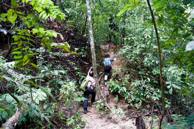 A  Steep Climb - Bukit Gua Kambing