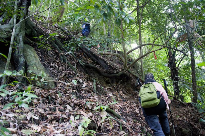 Bukit Gua Kambing