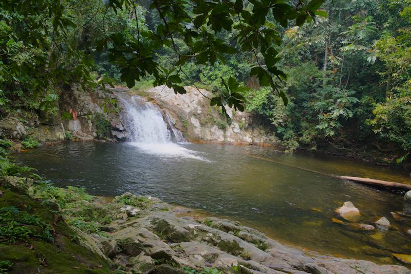 Taman Eko Rimba Lata Kekabu