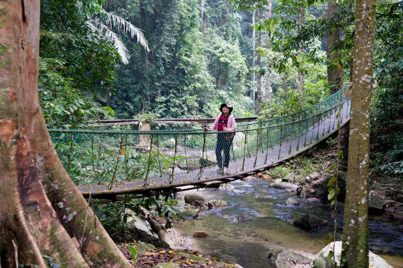 Taman Eko Rimba Lata Kekabu